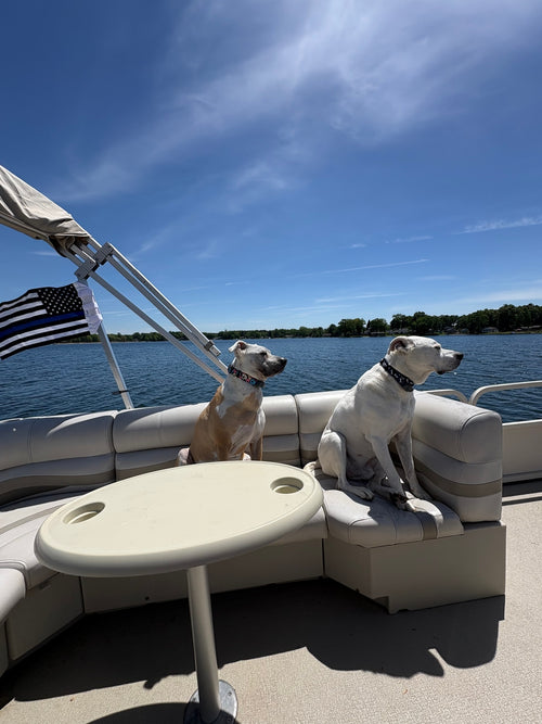 Thin Blue Line flag on a boat with two dogs on the seats — Colleen G., verified buyer