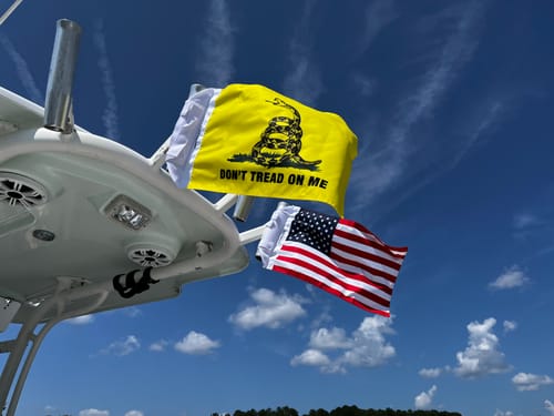 American and Gadsden flags on a boat tower, from Kathryn B.'s review