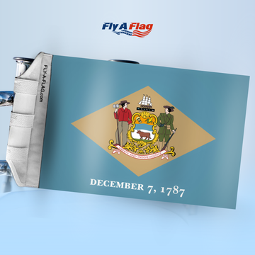 Delaware Flag