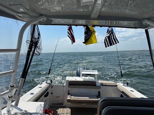 Customer's yellow Don't Tread On Me flag flying from the canopy of a boat over the water.